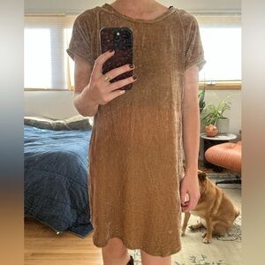 Zara Short Sleeve Tan/Gold Velvet Dress